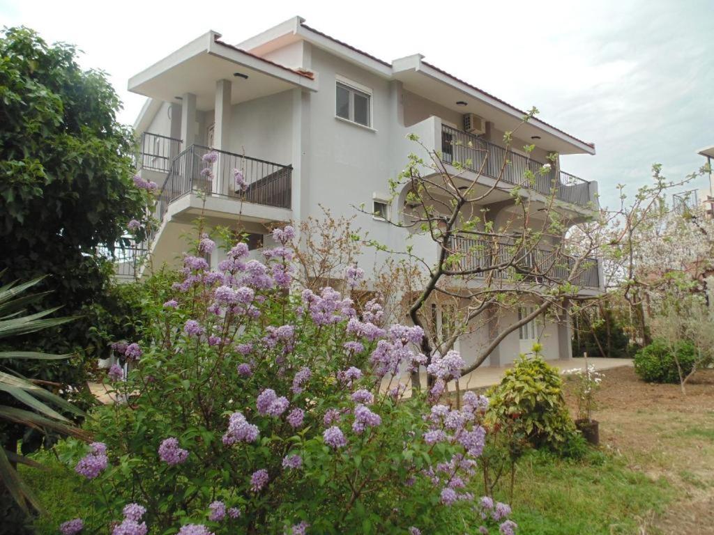 Apartments Macaso Бар Экстерьер фото