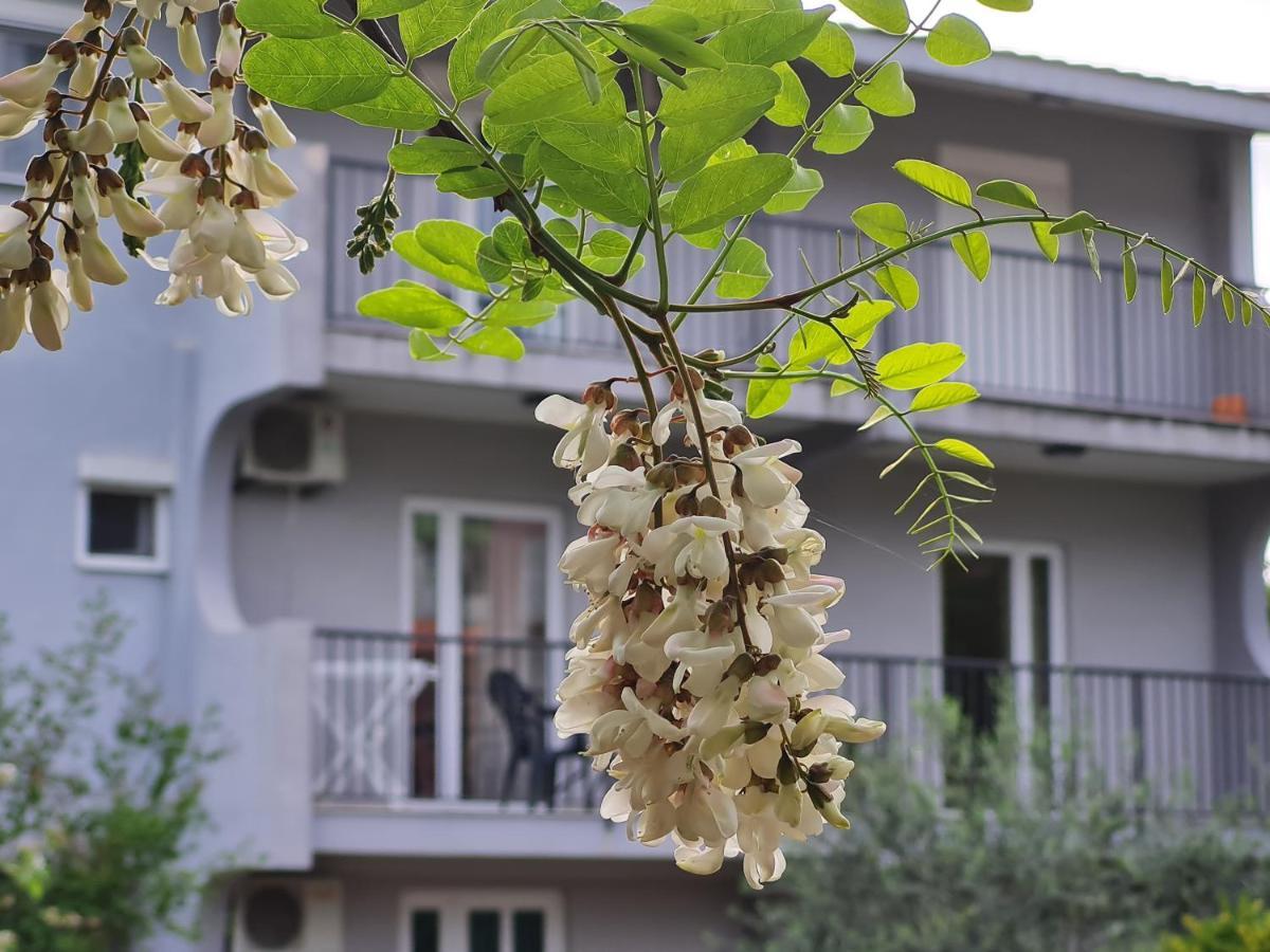 Apartments Macaso Бар Экстерьер фото