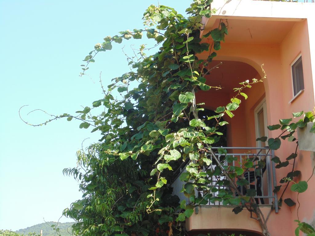 Apartments Macaso Бар Экстерьер фото